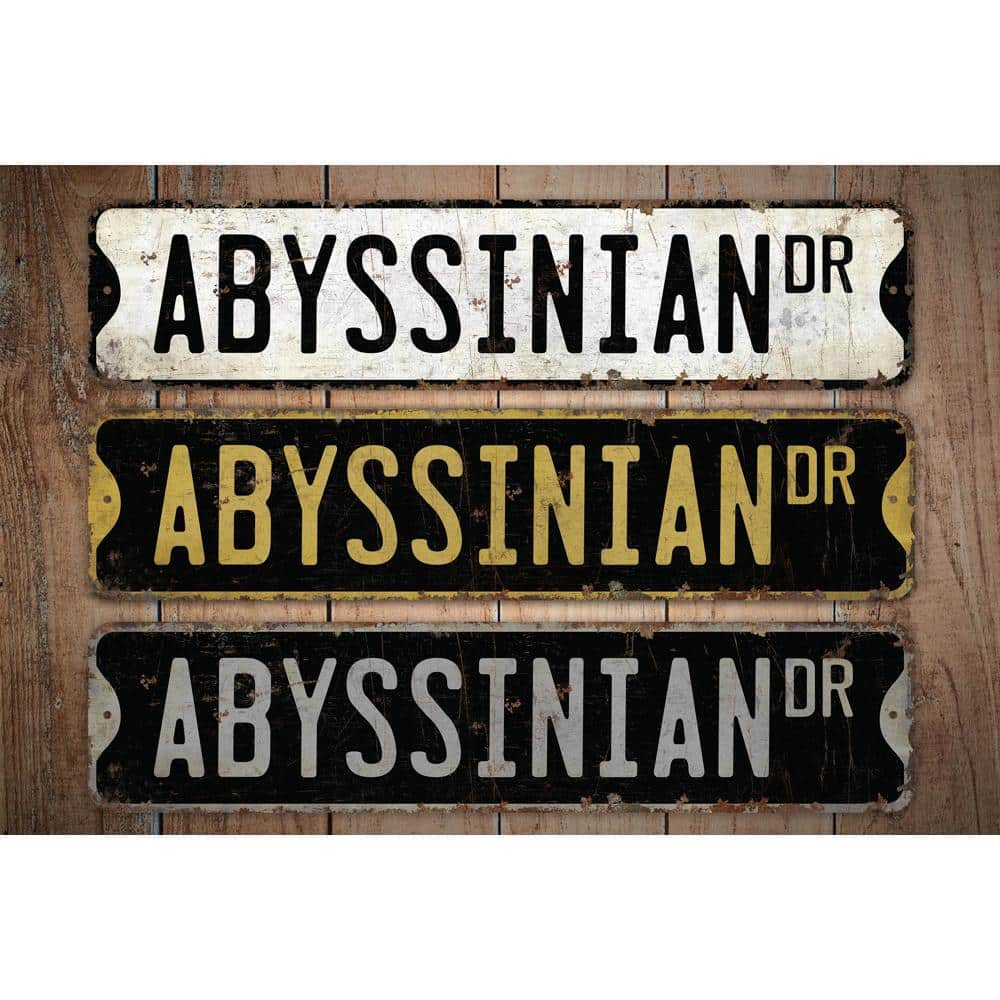 Abyssinian-Cat-Premium-Quality-Rustic-Metal-Sign-Images.jpg