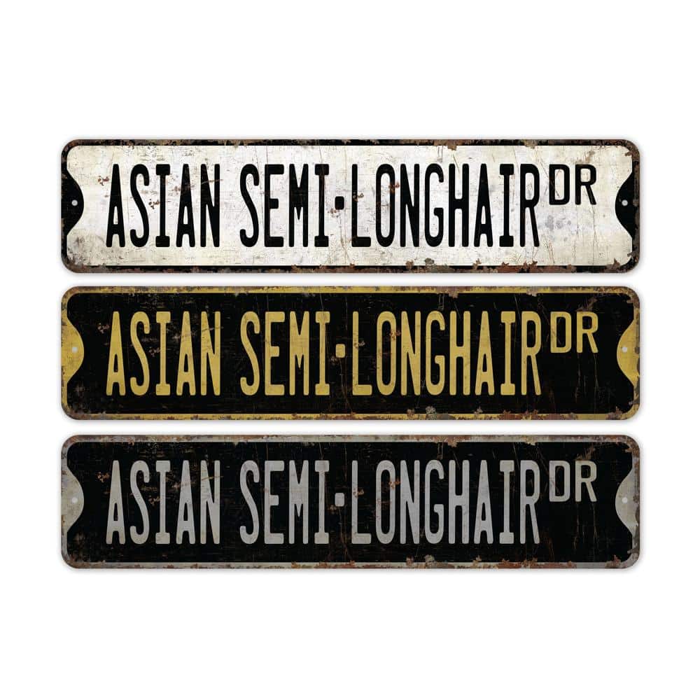 Asian-Semi-Longhair-Premium-Quality-Rustic-Metal-Sign-2.jpg