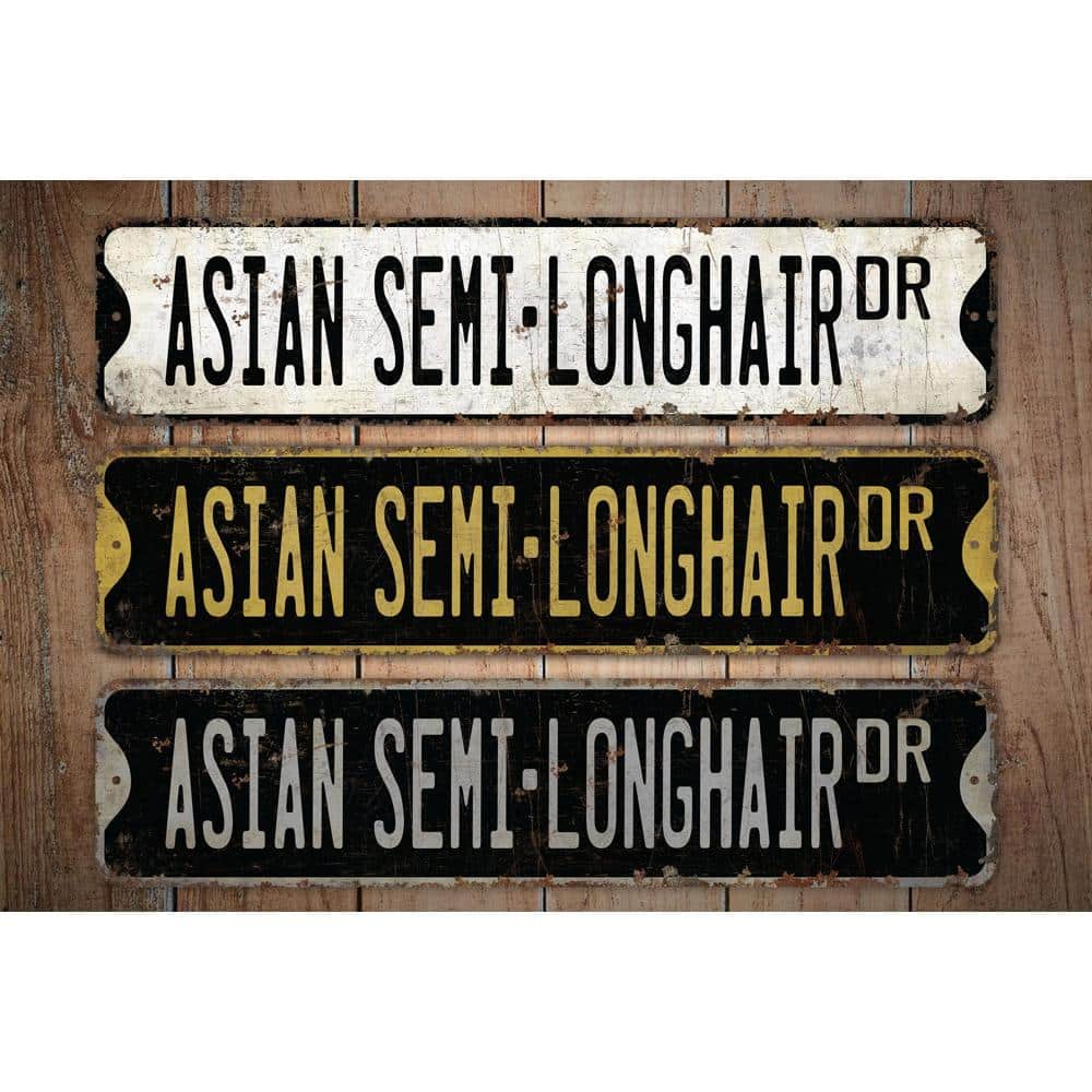 Asian-Semi-Longhair-Premium-Quality-Rustic-Metal-Sign-Images.jpg