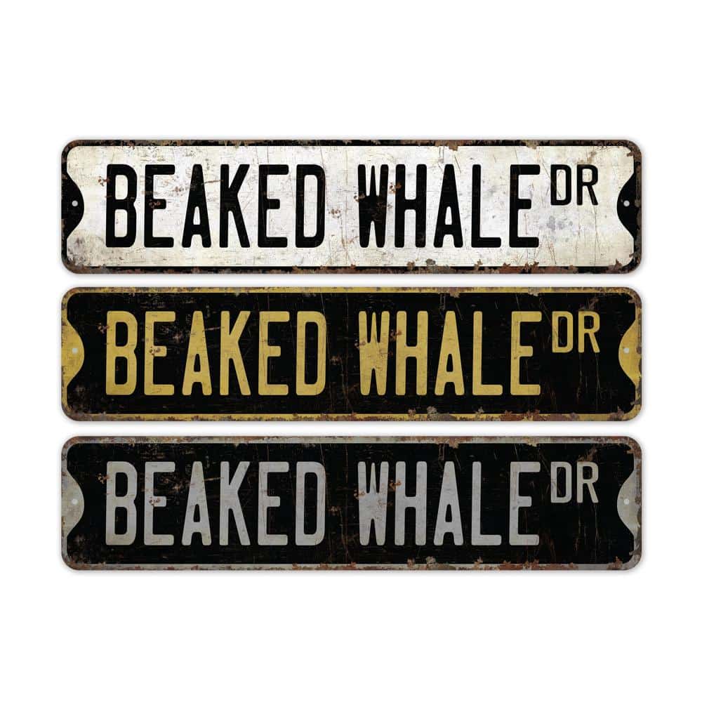 Beaked-Whale-Premium-Quality-Rustic-Metal-Sign-2.jpg