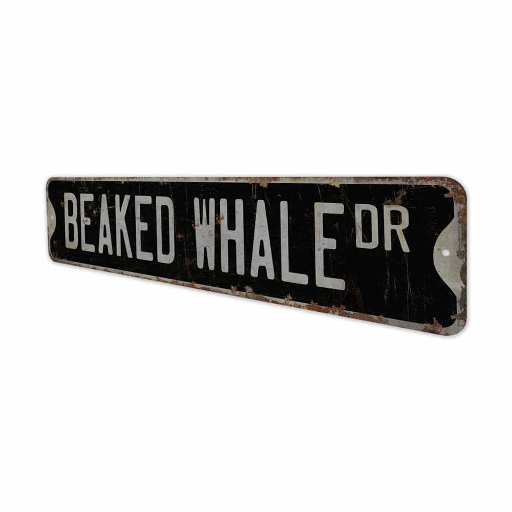 Beaked-Whale-Premium-Quality-Rustic-Metal-Sign-8.jpg