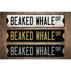 Beaked-Whale-Premium-Quality-Rustic-Metal-Sign-Images.jpg