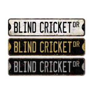Blind-Cricket-Premium-Quality-Rustic-Metal-Sign-2.jpg