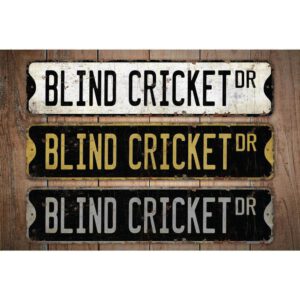 Blind-Cricket-Premium-Quality-Rustic-Metal-Sign-Images.jpg