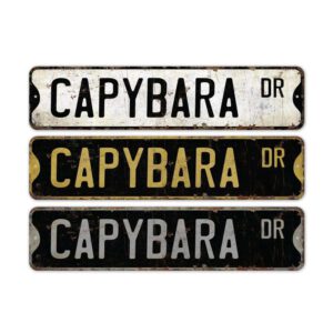 Capybara-Premium-Quality-Rustic-Metal-Sign-2.jpg