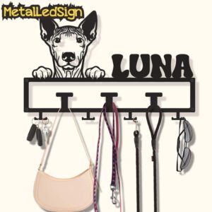 Custom-American-Hairless-Terrier-Dog-Leash-Collar-Holder-Images.jpg