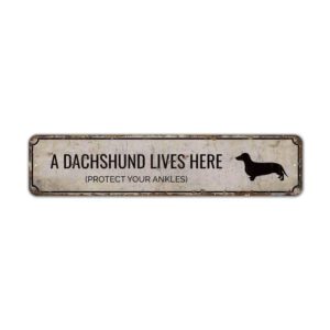 Dachshund-Lives-Here-Premium-Quality-Rustic-Metal-Sign-2.jpg