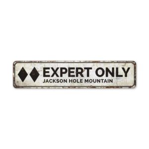 Expert-Only-Premium-Quality-Rustic-Metal-Sign-2.jpg