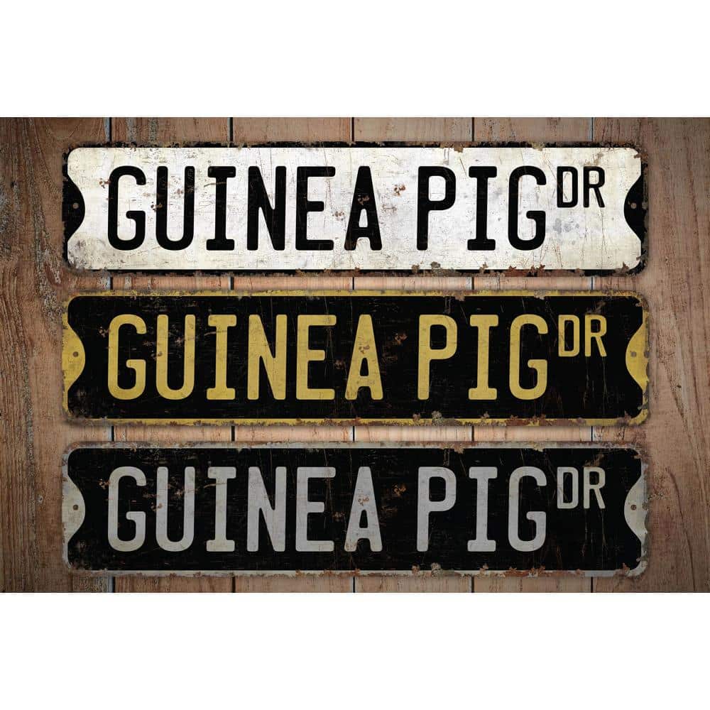 Guinea-Pig-Premium-Quality-Rustic-Metal-Sign-Images.jpg