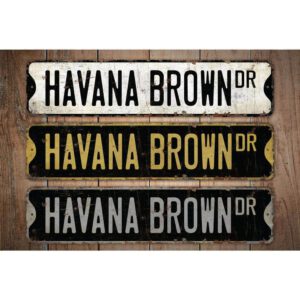Havana-Brown-Cat-Premium-Quality-Rustic-Metal-Sign-Images.jpg