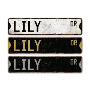 Lily-Name-Sign-Premium-Quality-Rustic-Metal-Sign-2.jpg