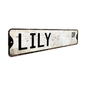 Lily-Name-Sign-Premium-Quality-Rustic-Metal-Sign-3.jpg