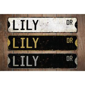 Lily-Name-Sign-Premium-Quality-Rustic-Metal-Sign-Images.jpg