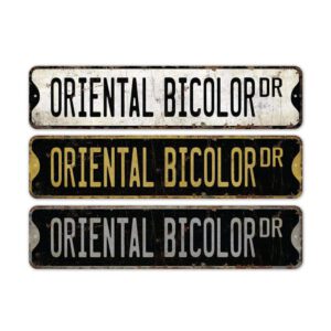 Oriental-Bicolor-Premium-Quality-Rustic-Metal-Sign-2.jpg