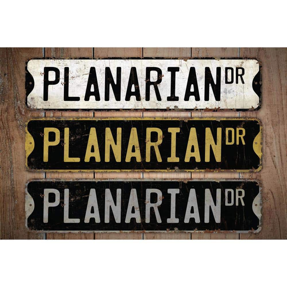 Planarian-Premium-Quality-Rustic-Metal-Sign-Images.jpg