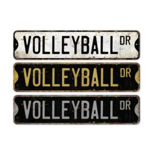 Volleyball-Premium-Quality-Rustic-Metal-Sign-2.jpg